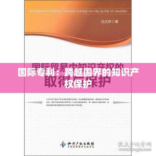 国际专利：跨越国界的知识产权保护