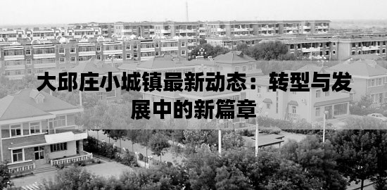 大邱庄小城镇最新动态：转型与发展中的新篇章
