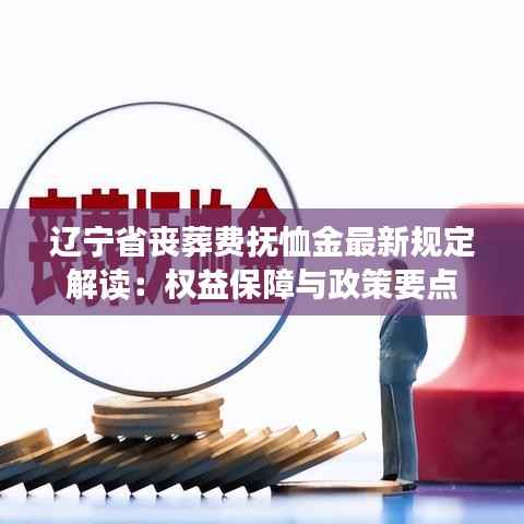 辽宁省丧葬费抚恤金最新规定解读：权益保障与政策要点