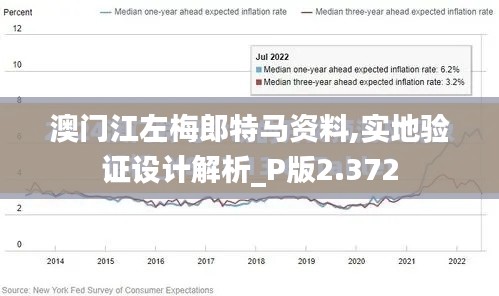 澳门江左梅郎特马资料,实地验证设计解析_P版2.372