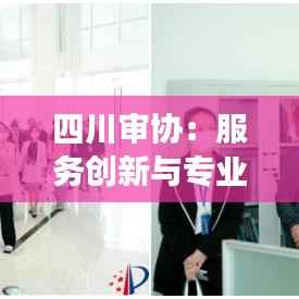 四川审协：服务创新与专业发展的典范