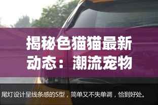 月里嫦娥 第4页