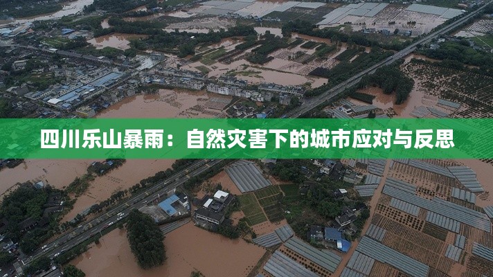 四川乐山暴雨:自然灾害下的城市应对与反思