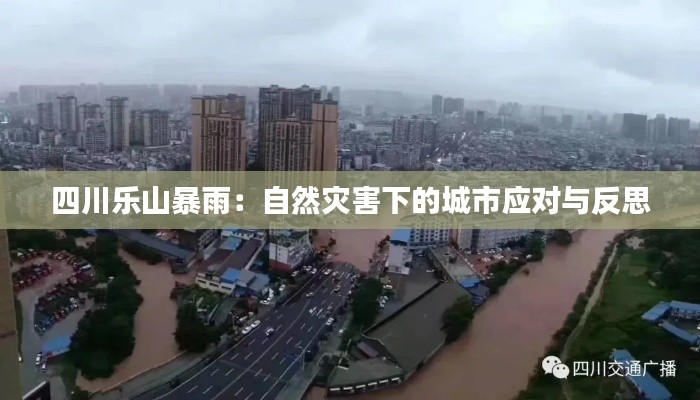 四川乐山暴雨:自然灾害下的城市应对与反思