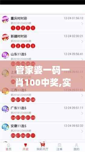 管家婆一码一肖100中奖,实地计划验证数据_高级款7.828