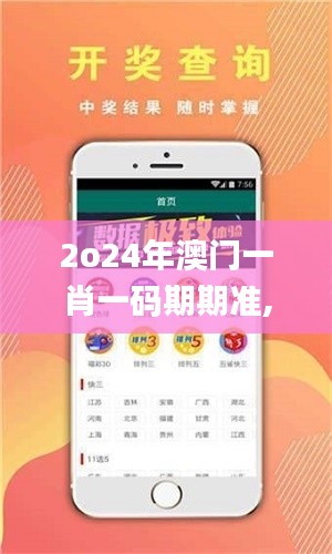 2o24年澳门一肖一码期期准,确保问题解析_9DM10.358