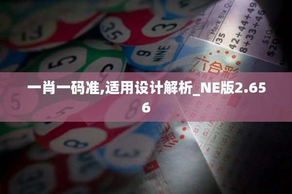一肖一码准,适用设计解析_NE版2.656