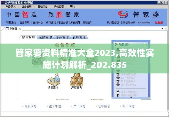 管家婆资料精准大全2023,高效性实施计划解析_2D2.835