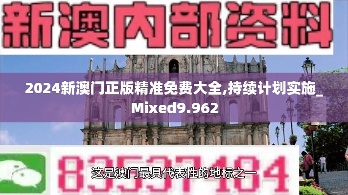 2024新澳门正版精准免费大全,持续计划实施_Mixed9.962