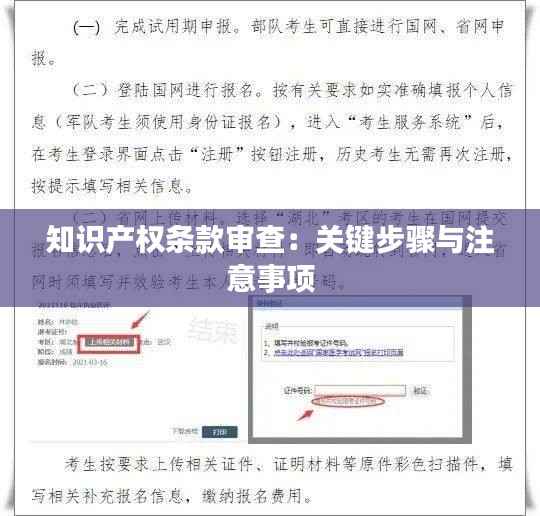 知识产权条款审查：关键步骤与注意事项