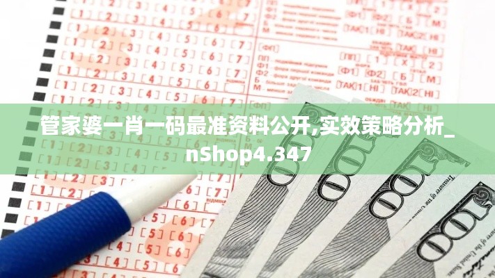 管家婆一肖一码最准资料公开,实效策略分析_nShop4.347