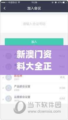 新澳门资料大全正版资料2024年免费下载,平衡性策略实施指导_6DM18.804