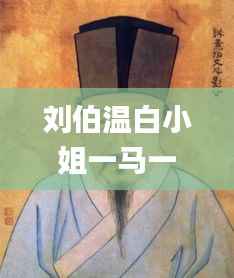 刘伯温白小姐一马一肖期期中特,快速响应策略解析_入门版7.811