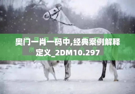 奥门一肖一码中,经典案例解释定义_2DM10.297
