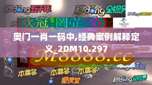 奥门一肖一码中,经典案例解释定义_2DM10.297