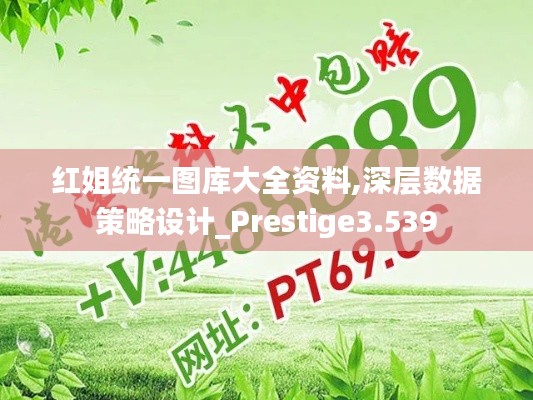 红姐统一图库大全资料,深层数据策略设计_Prestige3.539