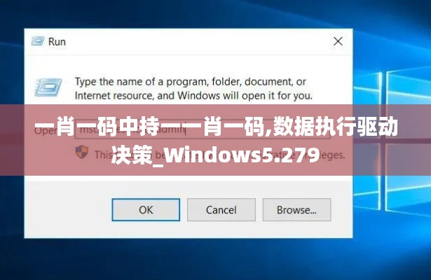 一肖一码中持一一肖一码,数据执行驱动决策_Windows5.279