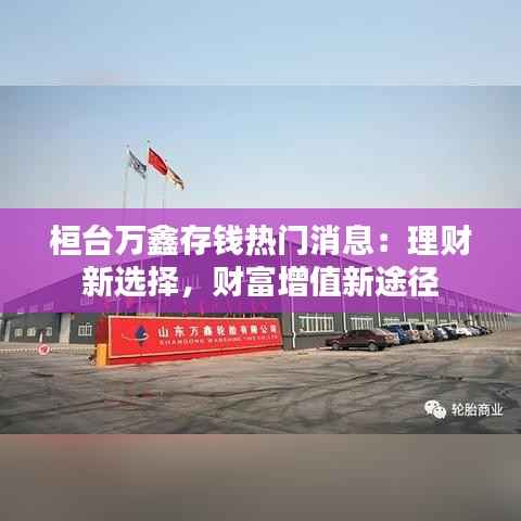 纲挈目张 第5页