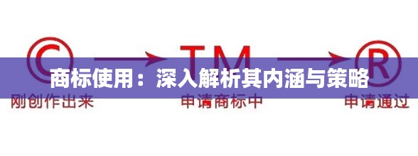 商标使用：深入解析其内涵与策略
