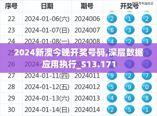 2024新澳今晚开奖号码,深层数据应用执行_S13.171