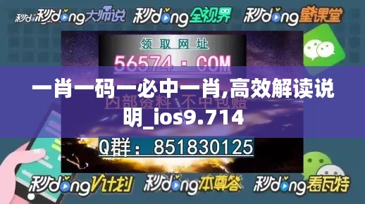 一肖一码一必中一肖,高效解读说明_ios9.714