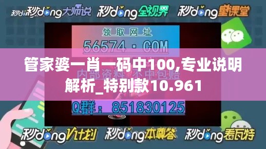 管家婆一肖一码中100,专业说明解析_特别款10.961