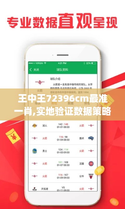 王中王72396cm最准一肖,实地验证数据策略_理财版2.423