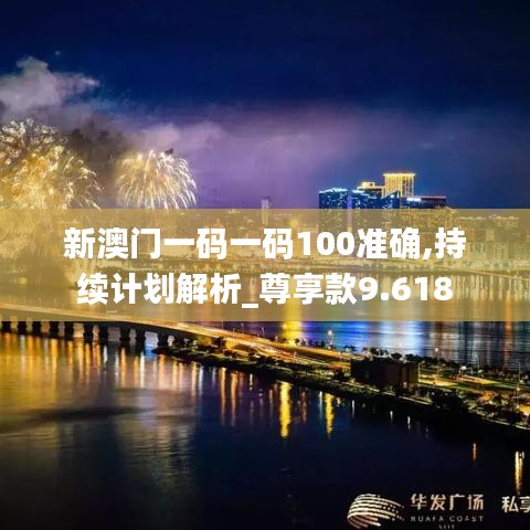 新澳门一码一码100准确,持续计划解析_尊享款9.618