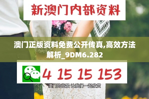 澳门正版资料免费公开传真,高效方法解析_9DM6.282