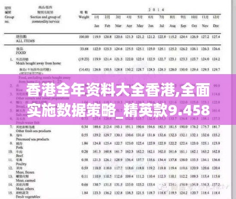 香港全年资料大全香港,全面实施数据策略_精英款9.458