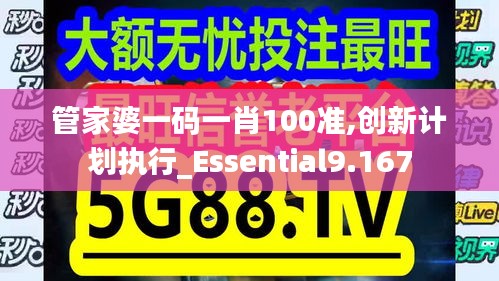 管家婆一码一肖100准,创新计划执行_Essential9.167