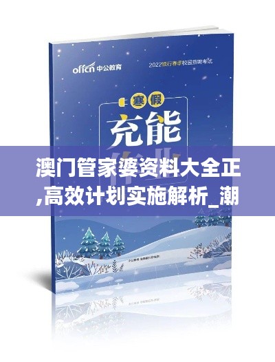 澳门管家婆资料大全正,高效计划实施解析_潮流版1.627