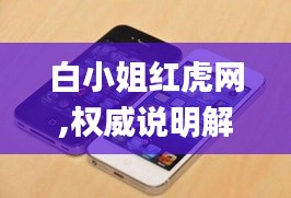 白小姐红虎网,权威说明解析_iPhone8.633