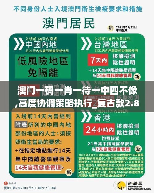 澳门一码一肖一待一中四不像,高度协调策略执行_复古款2.879