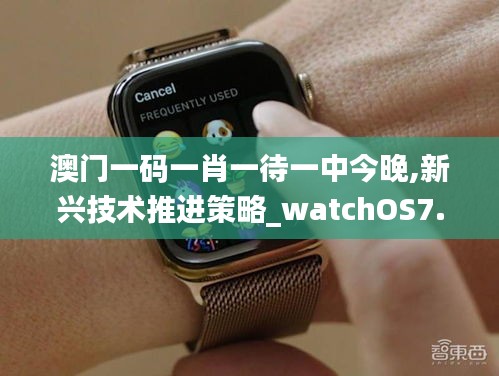 澳门一码一肖一待一中今晚,新兴技术推进策略_watchOS7.610