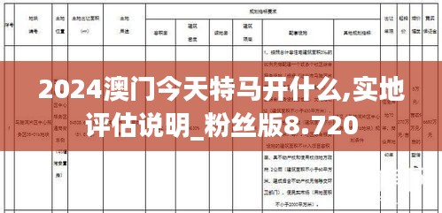 2024澳门今天特马开什么,实地评估说明_粉丝版8.720