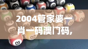 2004管家婆一肖一码澳门码,迅捷解答方案实施_投资版4.452