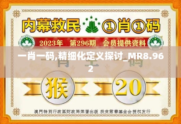 一肖一码,精细化定义探讨_MR8.962