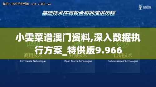 小雯菜谱澳门资料,深入数据执行方案_特供版9.966