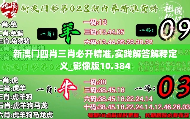 新澳门四肖三肖必开精准,实践解答解释定义_影像版10.384