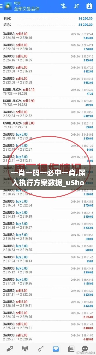 一肖一码一必中一肖,深入执行方案数据_uShop8.560