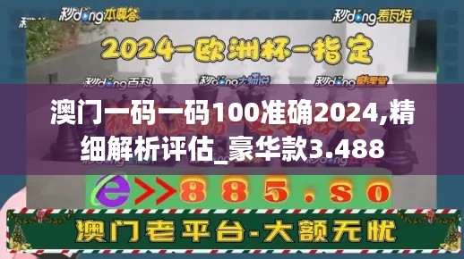 澳门一码一码100准确2024,精细解析评估_豪华款3.488