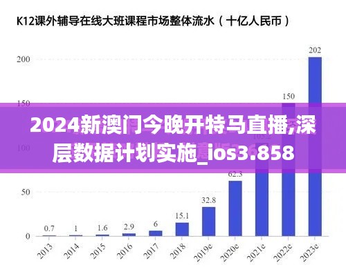 2024新澳门今晚开特马直播,深层数据计划实施_ios3.858