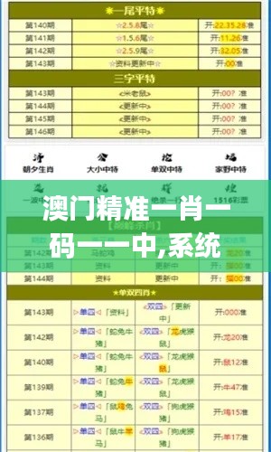 澳门精准一肖一码一一中,系统解答解释定义_黄金版7.468