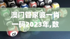 澳门管家婆一肖一码2023年,数据导向实施策略_Elite7.886