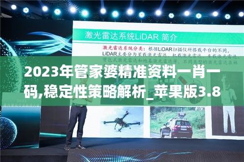 2023年管家婆精准资料一肖一码,稳定性策略解析_苹果版3.880