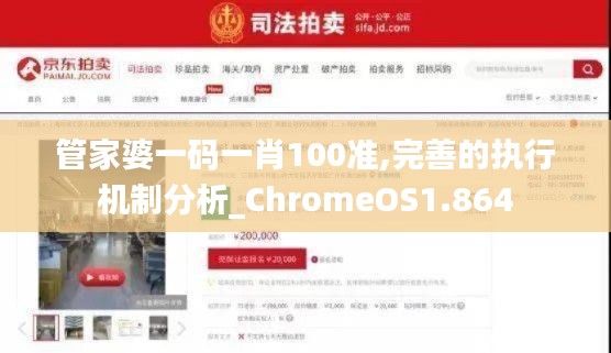 管家婆一码一肖100准,完善的执行机制分析_ChromeOS1.864