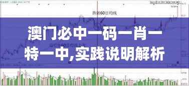 澳门必中一码一肖一特一中,实践说明解析_QHD4.734