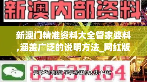 新澳门精准资料大全管家婆料,涵盖广泛的说明方法_网红版7.485