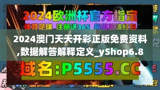 2024澳门天天开彩正版免费资料,数据解答解释定义_yShop6.839